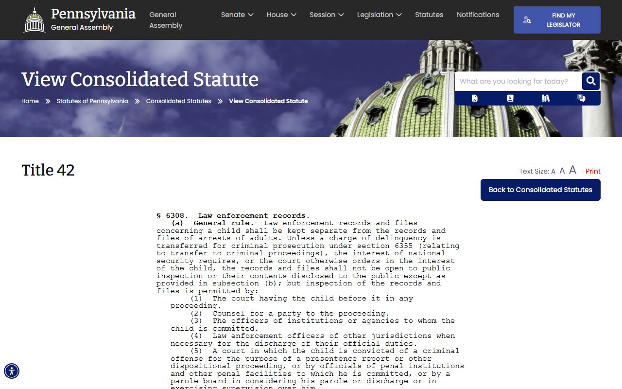 Sullivan County criminal court records juvenile law enforcement records statute