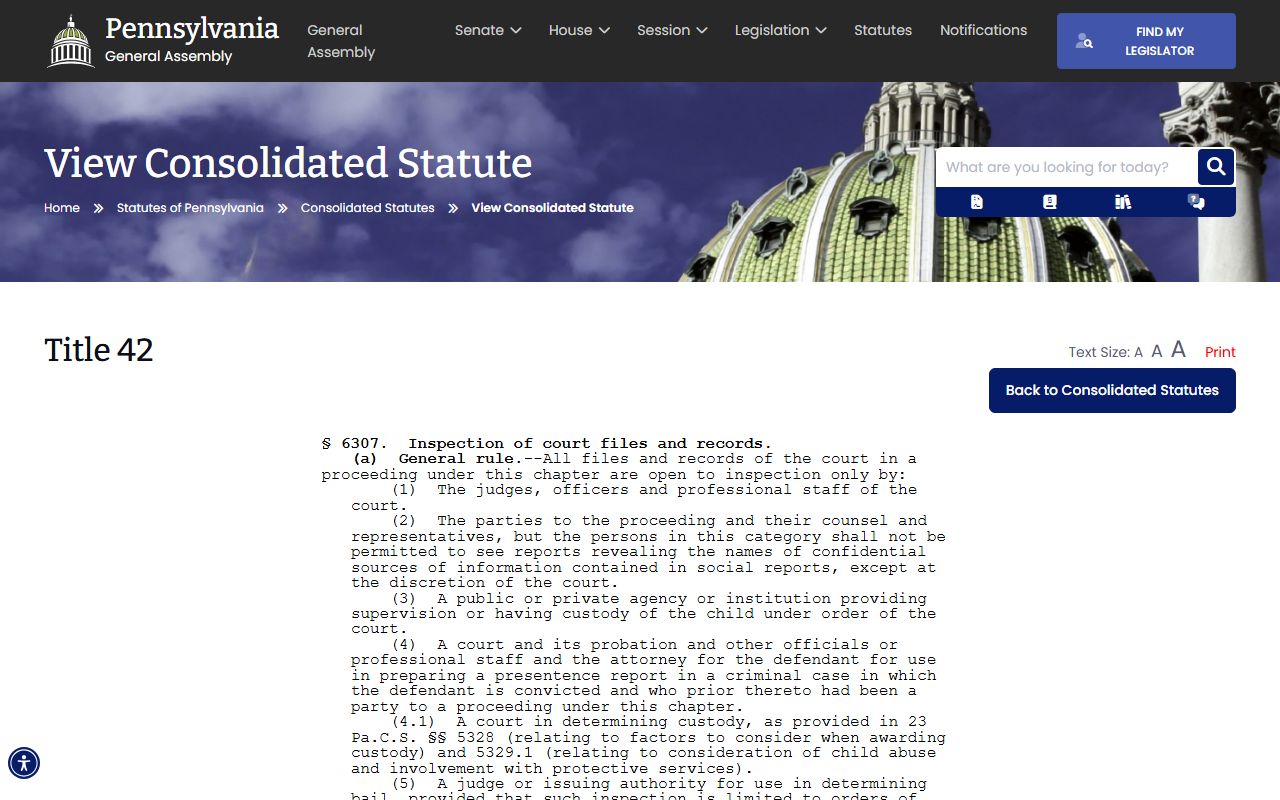 Sullivan County criminal court records juvenile court file inspection law